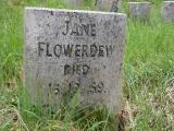 image number Flowerdew Jane   161